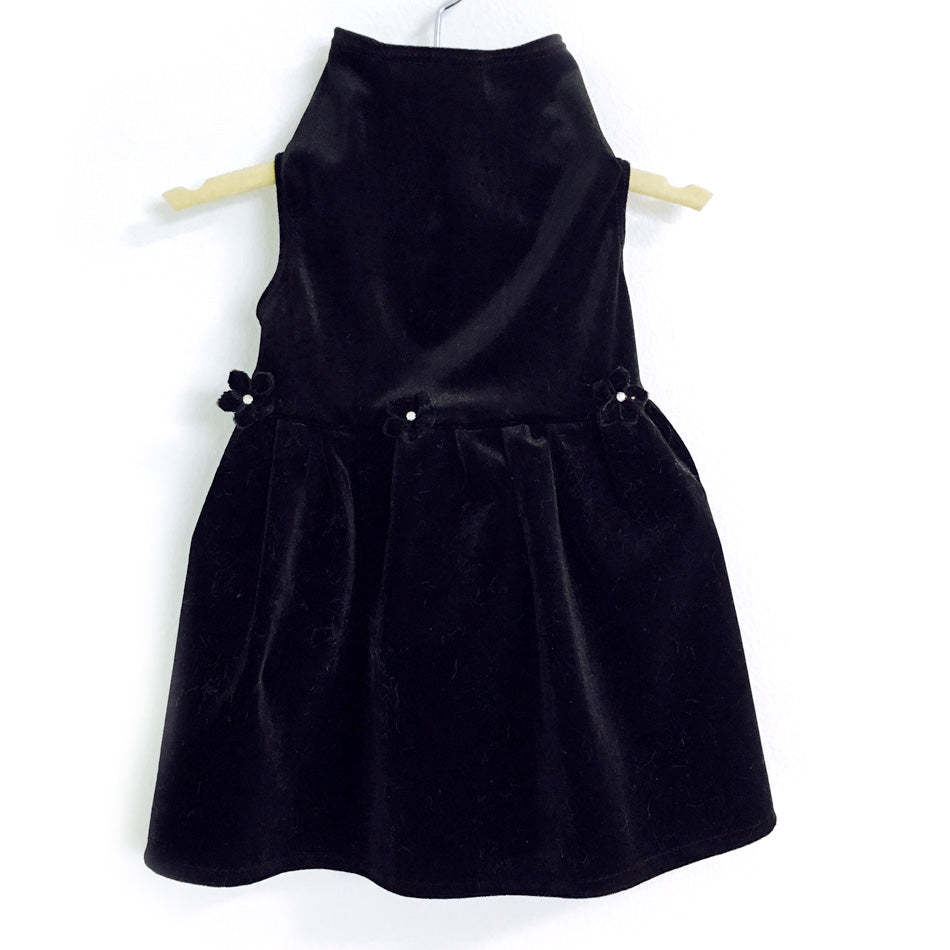 420 Daisy & Lucy Black Velvet Dress Teacup 2-3 lbs 420 Daisy & Lucy Black Velvet Dress Teacup 2-3 lbs