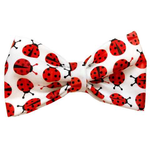 630-2 Barley's Red Ladybugs Dog Bow Tie