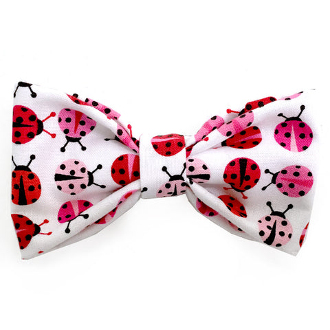 630 Barley's Pink Ladybugs Dog Bow Tie