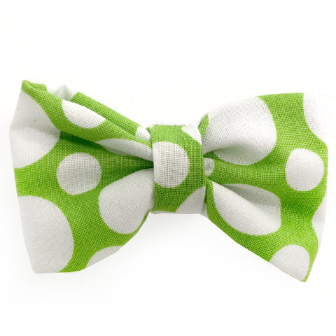 632 Barley's Green and White Circles Dog Bow Tie
