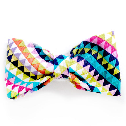 637 Barley's Geometric Borealis Dog Bow Tie