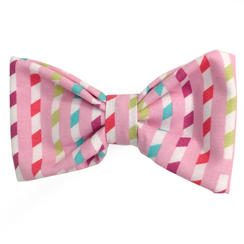 640 Barley's Spring Ribbon Dog Bow Tie