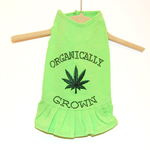 711D Daisy & Lucy Organically Grown Flounce Dress