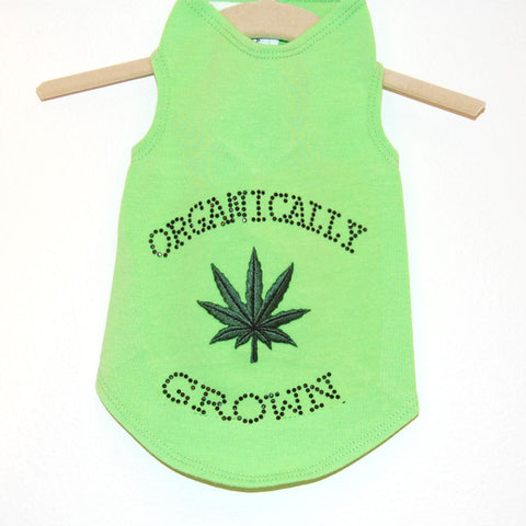 711T Daisy & Lucy Organically Grown Tank