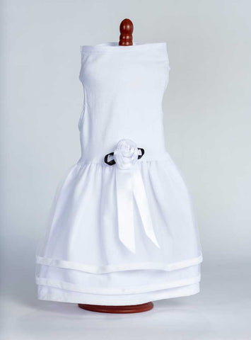 white-dog-wedding-dress-daisy-lucy-428